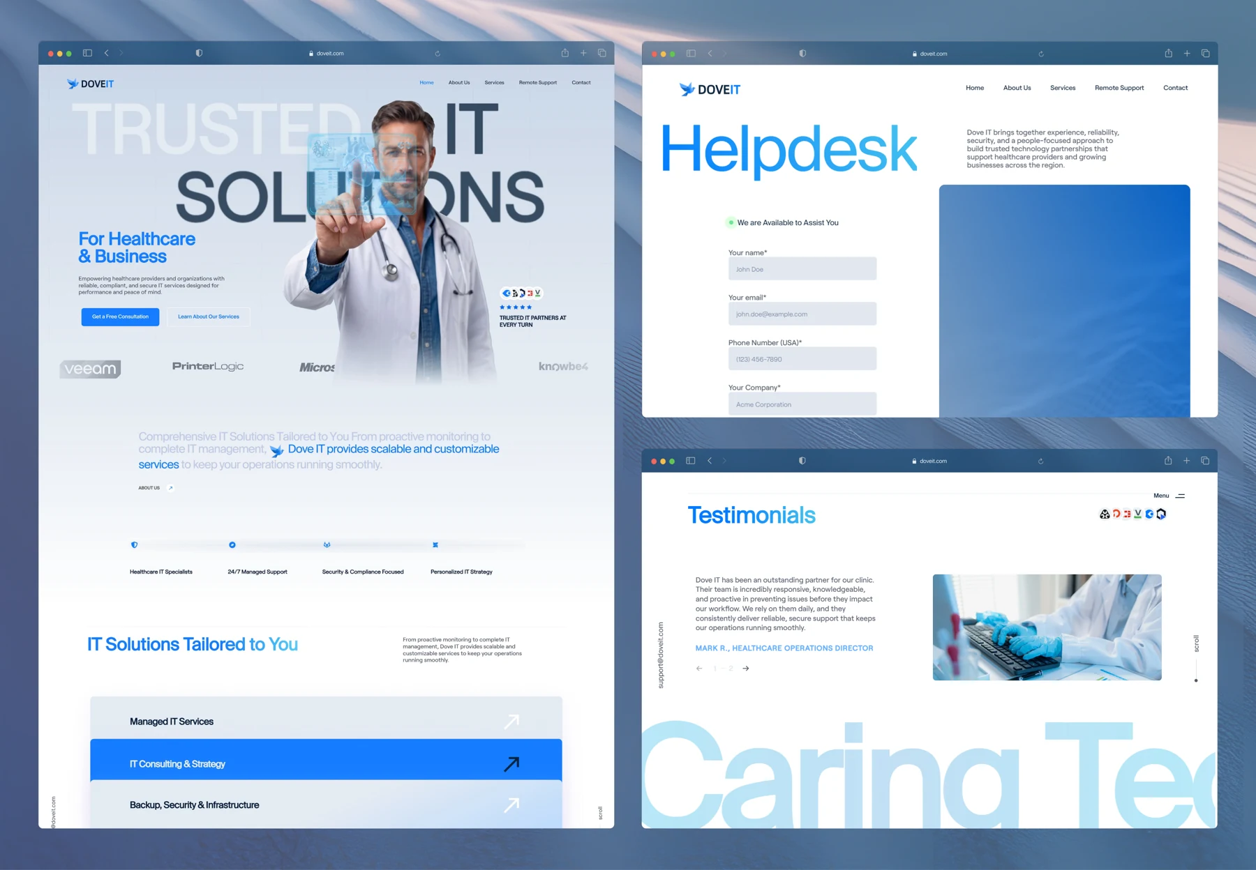 DoveIT website detail 1